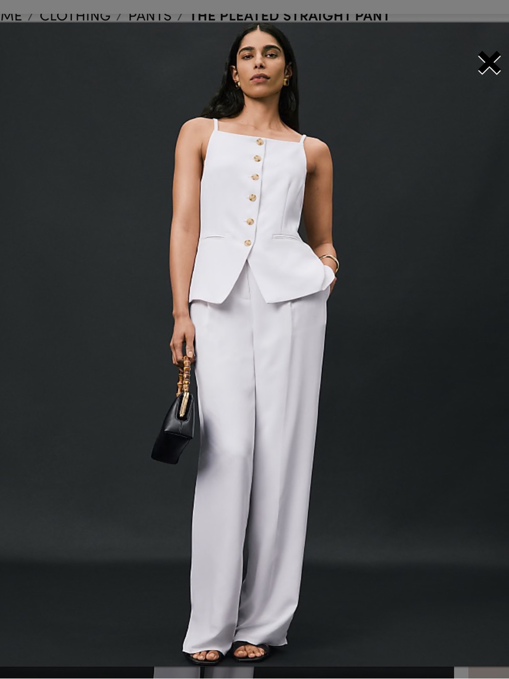 Ann Taylor the pleated straight pants